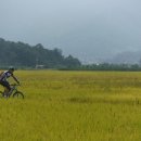 번개커피태전점 | [전국일주 077] - 대구 태전역, (모교 방문), 신천 상동교, 헐티재, 청도군, 팔조령 옛길, 상동교, 태전역