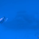 필리핀 - ＞ 세부 - ＞ 보홀 다이빙 사진입니다. 이미지