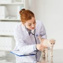 베이지동물병원 이미지