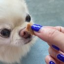 반했다 너한테 이미지