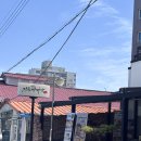 고려다방 | 강릉 빵지순례 빵다방 주말 오픈런 웨이팅 뚱모스, 치즈뚱모스 먹어본 후기