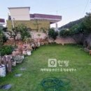 회원동215 이미지