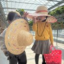 농부맘마트 | 창원 아이와 가볼만한곳 딸기체험 주남농부더하기