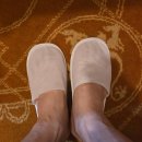 호텔레오 | 제주공항 근처 레오호텔 숙박 후기｜다시 찾은 이유와 솔직한 장단점