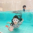 대전 키즈풀 토끼풀