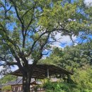 사익재(四益齋) 이미지