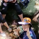 장산골 Daum카페