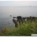 해원렌트카 이미지