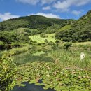 대불주거4로 이미지