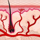 미인피부과의원 이미지