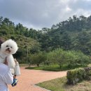 엔제리너스 낙동강구미휴게소