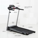 플렉스스포츠 이미지