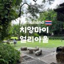 치앙마이 자유여행 추천 카페 얼리아울(Early owls) 솔직 후기