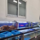 해담활어회 이미지