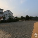 새바라기 이미지