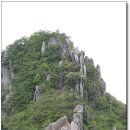 고래푸드마트(주) 이미지