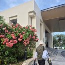 [방콕 라운딩 #2] 타나시티 cc 18홀 노카트 후기 (가격, 난이도 높음, 조인여부, 추천)