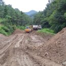 중앙흑염소농장 이미지