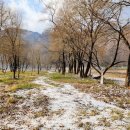 주천약국 이미지