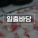 일출바당