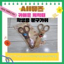 좋은문구 | 아이랑 쓰기 좋은 안전가위 찾다가 All뮤즈 문구 가위 직접 써본 후기