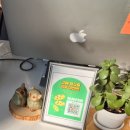 421프라하 이미지