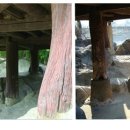 정자문화 이미지