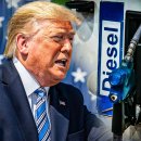 アメリカのロシア産ディーゼル油輸入は物価を下げない…繰り返されるトランプの悪手、残ったものとは 이미지