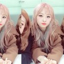 핑그레이 Daum카페