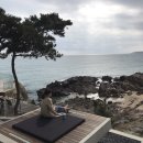 황룡stay 이미지