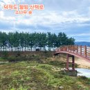 덕적도 서포리 웰빙산책로 해송 소나무 숲