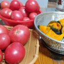 태훈농장 이미지