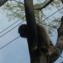 신안양어린이집 이미지