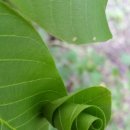 치악농장 이미지