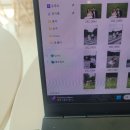 육해공식당야식 | 단무지 일상 : 250527 ~ 250609 😋