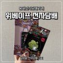 피우리 전자담배 홍대점 | 홍대 전자담배 가게 추천 위베이프 홍대점 버블몬 그래피티2 사용 후기