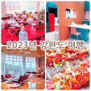 태양 어르신사랑방 | 2023년 강원도 여행 총결산 여행지 숙소 맛집 카페 베스트3