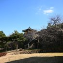 용장사석불좌상 이미지