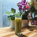 노블린카 이미지