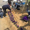 고봉동주민센터 이미지