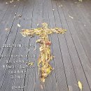 2025년 11월 02일 성령강림일 후 스물한째 주일예배 이미지