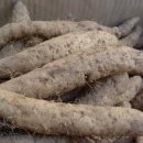 참좋은경희한의원 이미지