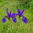 동부4리 이미지