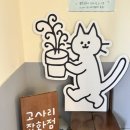 버섯이네잡화점 - 마포구 희우정로10길 14 | [공주 소품샵] 고사리 잡화점 | 제민천 소품샵 내돈내산 후기 공주여행 공주 가볼 만한 곳