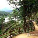 숲 이미지