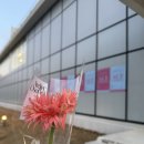 W1. 웨딩박람회 방문 후기_에이스웨딩