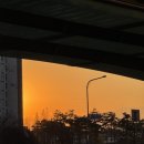 세븐일레븐 김포중앙점 | [대만] 가오슝 3박4일 여행 1일차 (저녁 비행기, 타이거항공 지연, 호텔 리뷰)