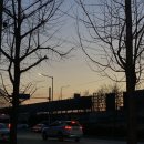 매땡김밥 이미지