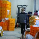 황영농장 이미지