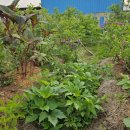 박종상농장 이미지